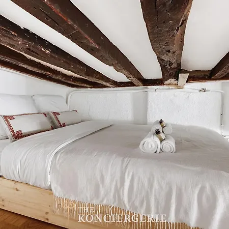 Duplex D Architecte En Plein Coeur Du Marais *