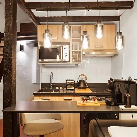 Duplex D Architecte En Plein Coeur Du Marais *